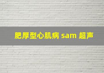 肥厚型心肌病 sam 超声